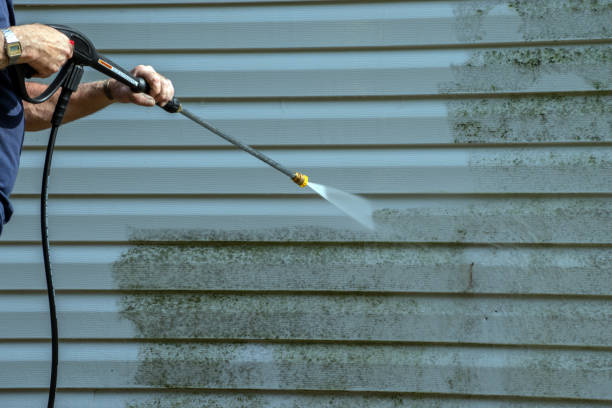 Best Roof Pressure Washing  in Mickleton, NJ